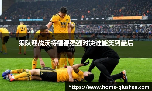 球神体育直播