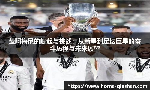 球神体育