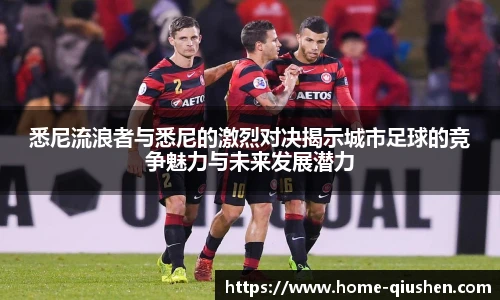 球神体育