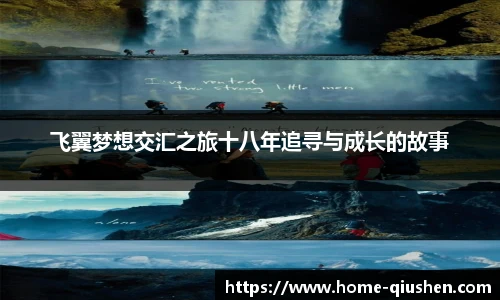 飞翼梦想交汇之旅十八年追寻与成长的故事