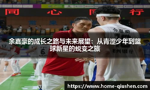 球神高清直播